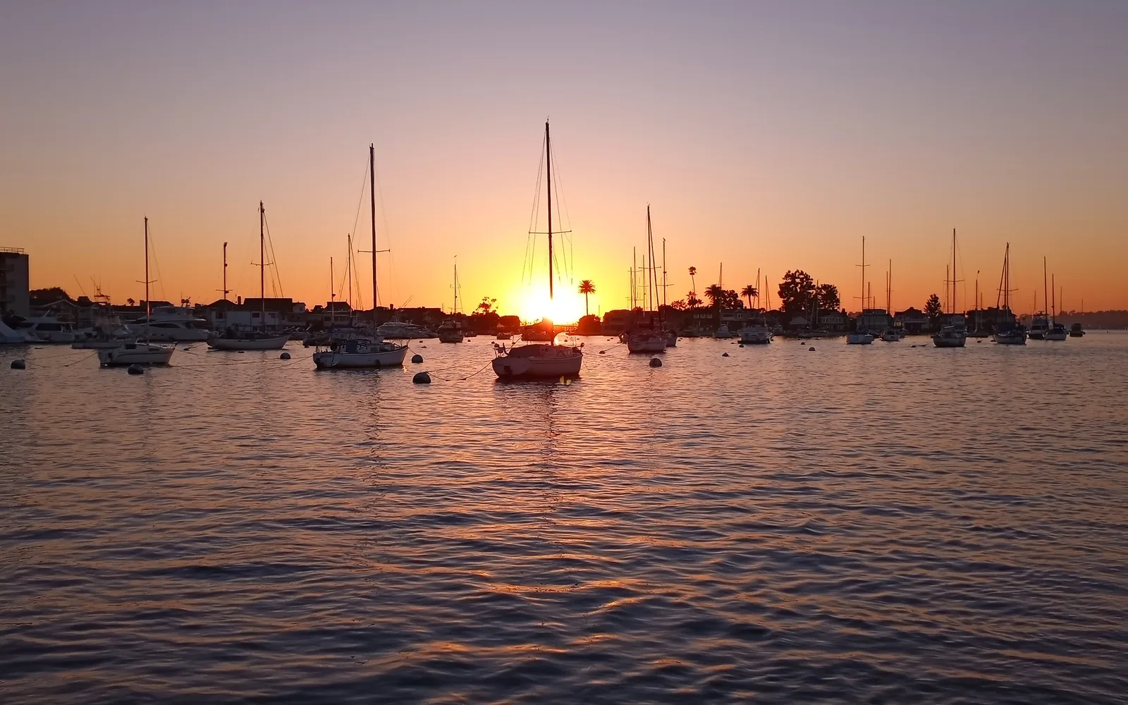 Newport Harbor at sunset with boats silhouetted against the water and evening sky